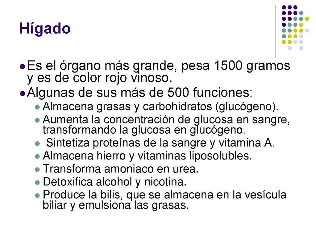 Hígado Es el órgano más grande, pesa 1500 gramos y es de color rojo vinoso. Algunas de sus más de 500 funciones: