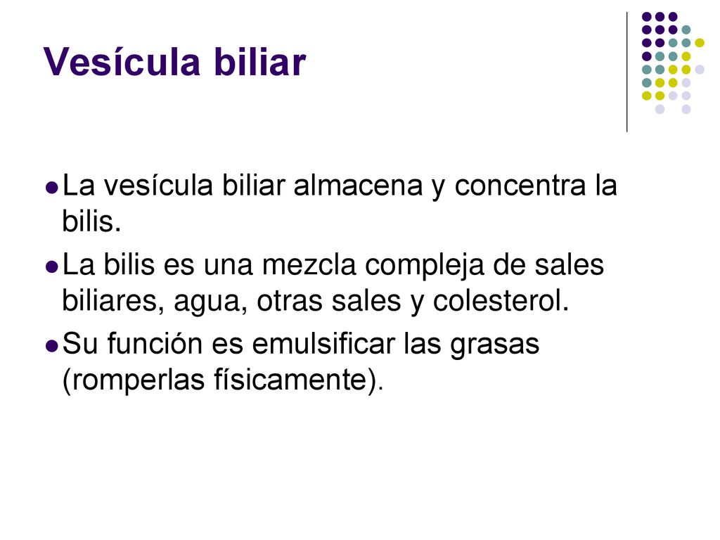 Vesícula biliar La vesícula biliar almacena y concentra la bilis.