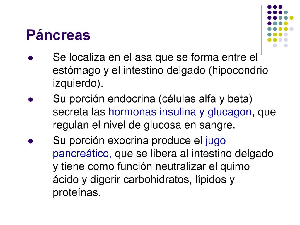 Páncreas Se localiza en el asa que se forma entre el estómago y el intestino delgado (hipocondrio izquierdo).