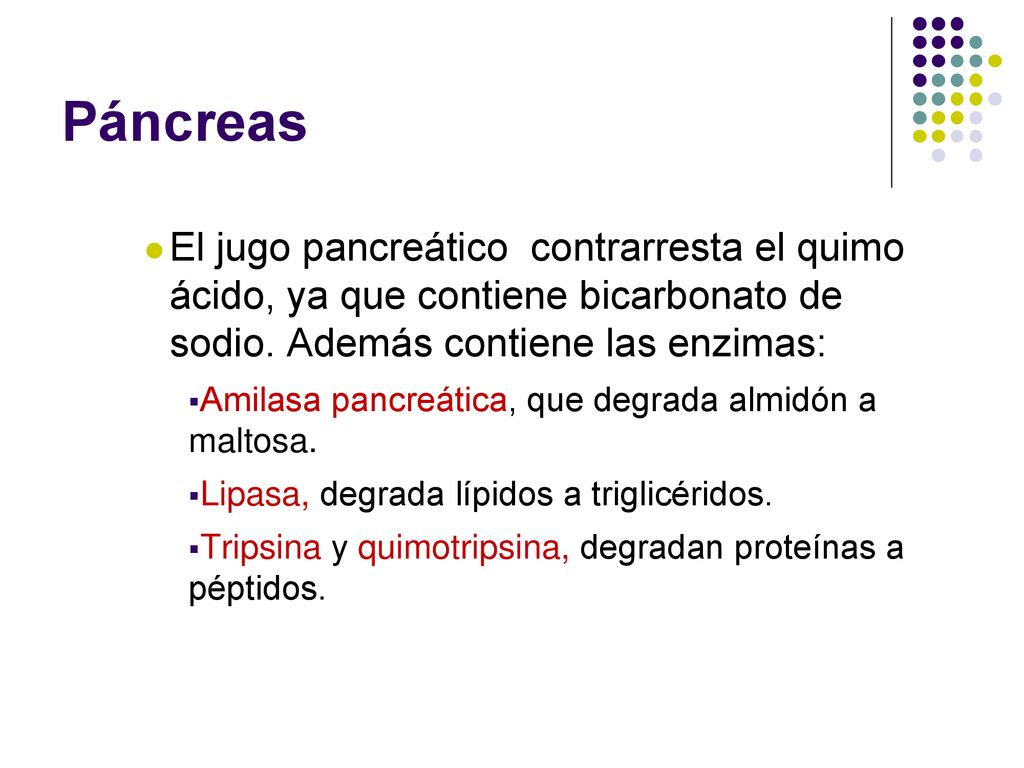 Páncreas El jugo pancreático contrarresta el quimo ácido, ya que contiene bicarbonato de sodio. Además contiene las enzimas: