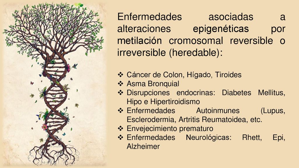 Enfermedades asociadas a alteraciones epigenéticas por metilación cromosomal reversible o irreversible (heredable):