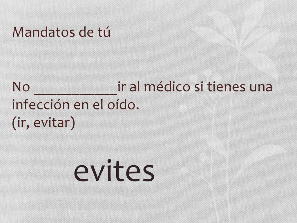 Mandatos de tú No ___________ir al médico si tienes una infección en el oído.