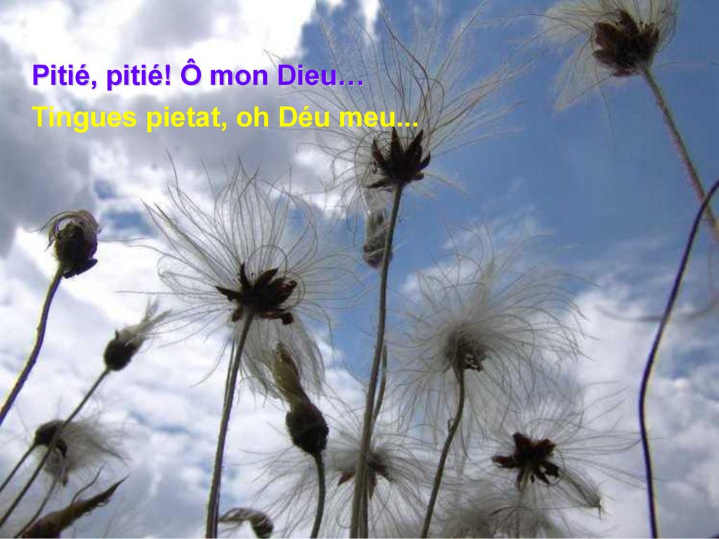 Pitié, pitié! Ô mon Dieu… Tingues pietat, oh Déu meu...