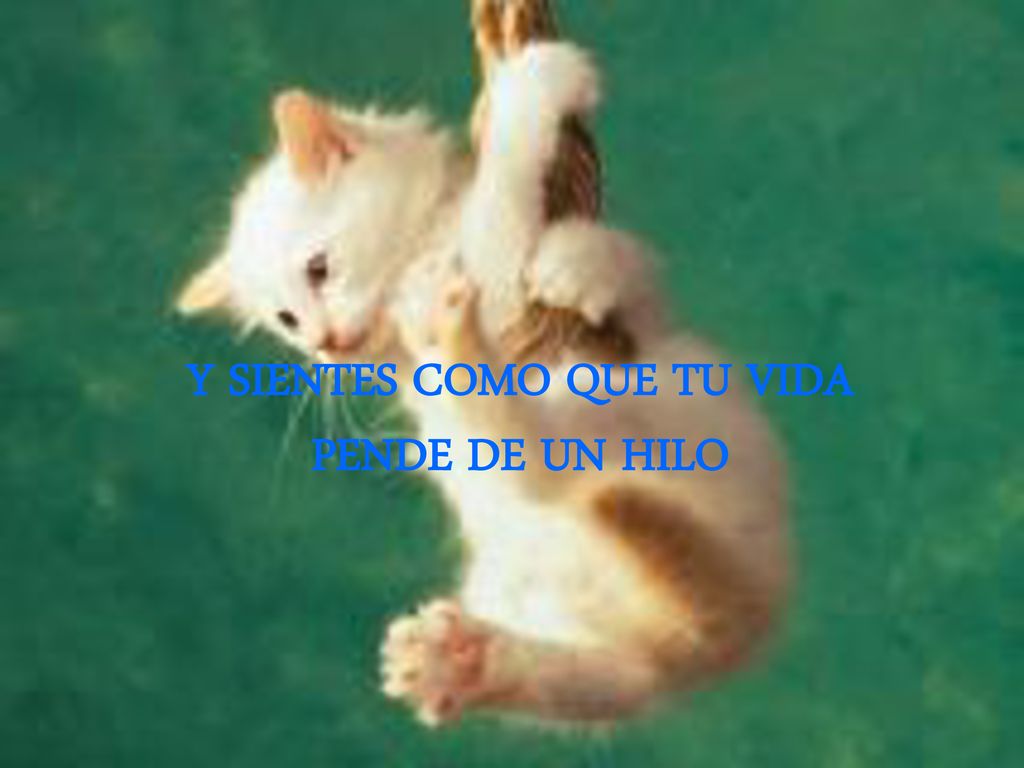 Y SIENTES COMO QUE TU VIDA PENDE DE UN HILO