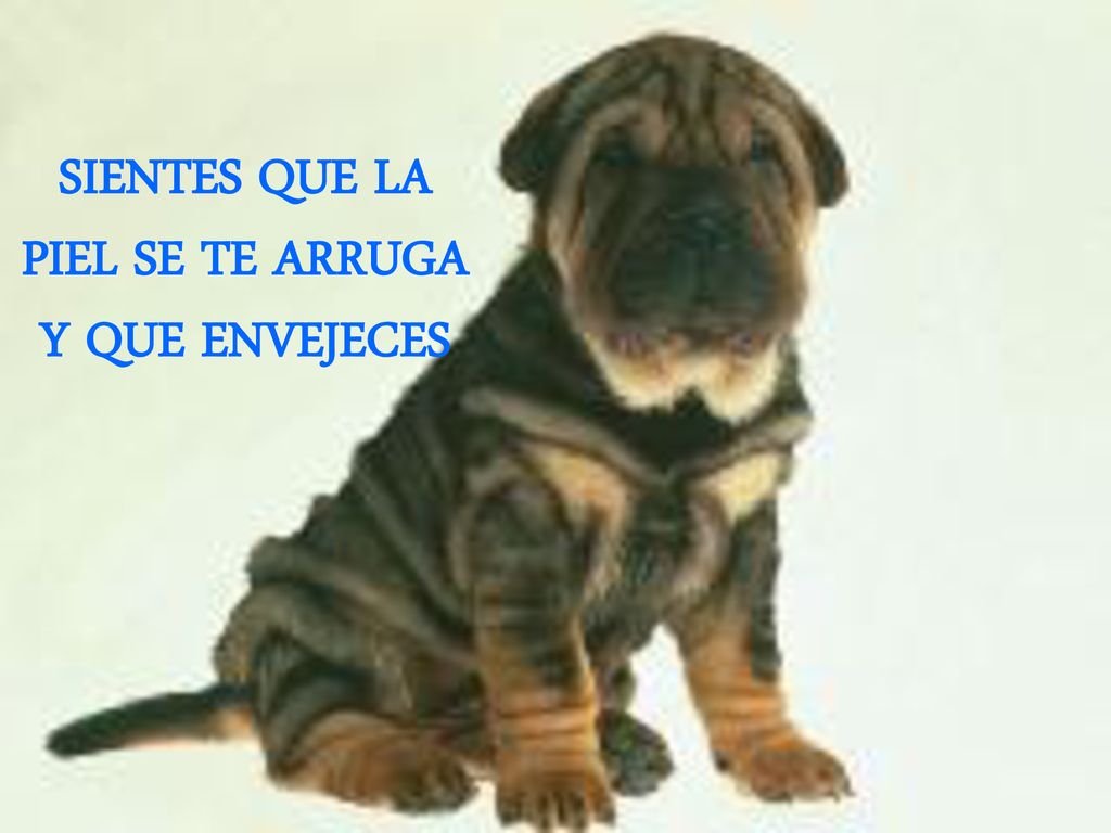SIENTES QUE LA PIEL SE TE ARRUGA Y QUE ENVEJECES