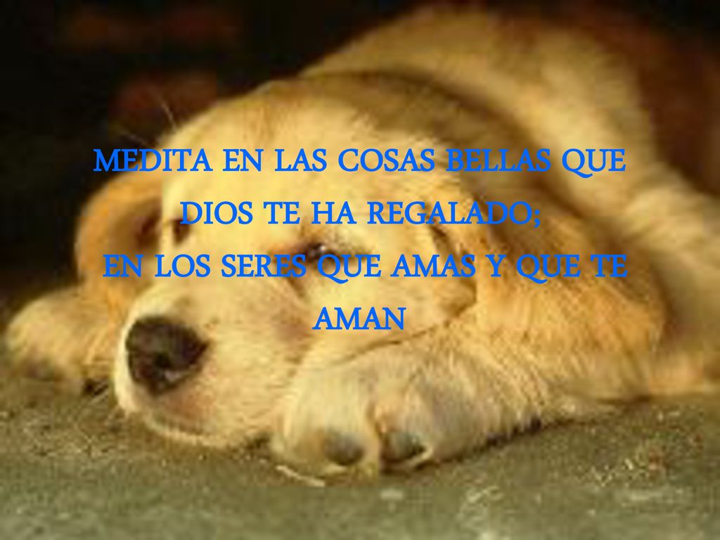 MEDITA EN LAS COSAS BELLAS QUE DIOS TE HA REGALADO; EN LOS SERES QUE AMAS Y QUE TE AMAN