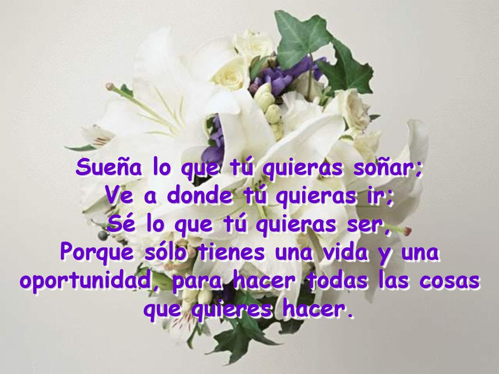 Sueña lo que tú quieras soñar; Ve a donde tú quieras ir;