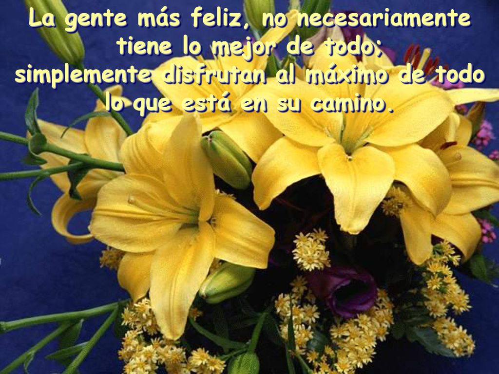La gente más feliz, no necesariamente tiene lo mejor de todo;
