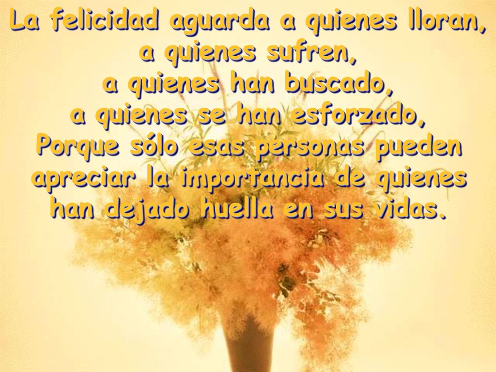 La felicidad aguarda a quienes lloran, a quienes se han esforzado,