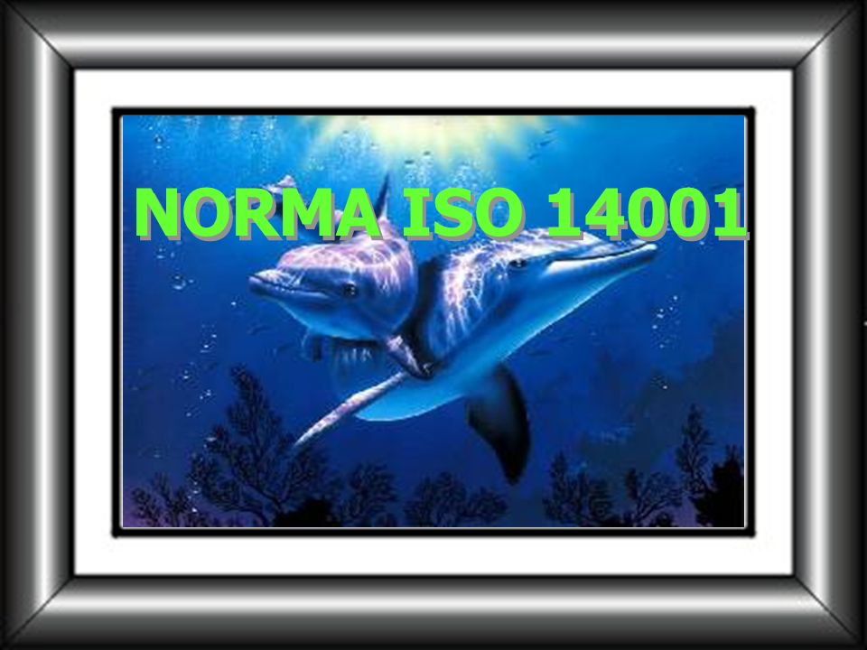 NORMA ISO 14001