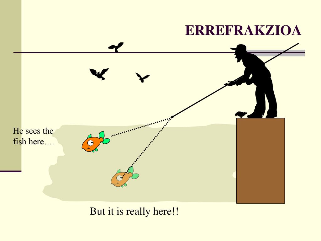 ERREFRAKZIOA He sees the fish here…. But it is really here!!