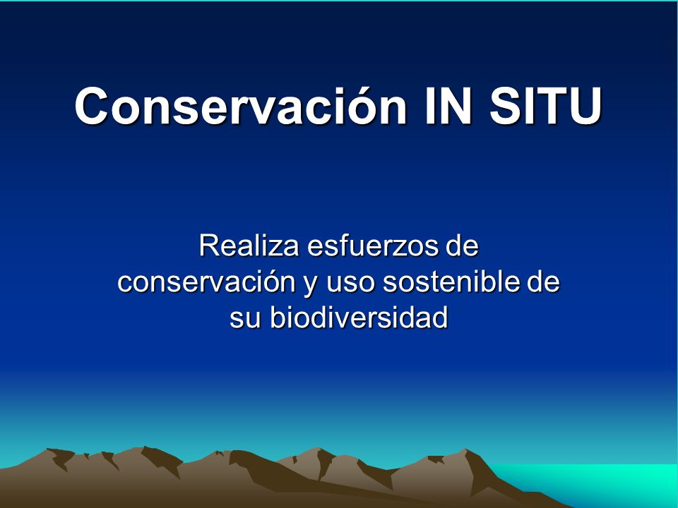 Realiza esfuerzos de conservación y uso sostenible de su biodiversidad