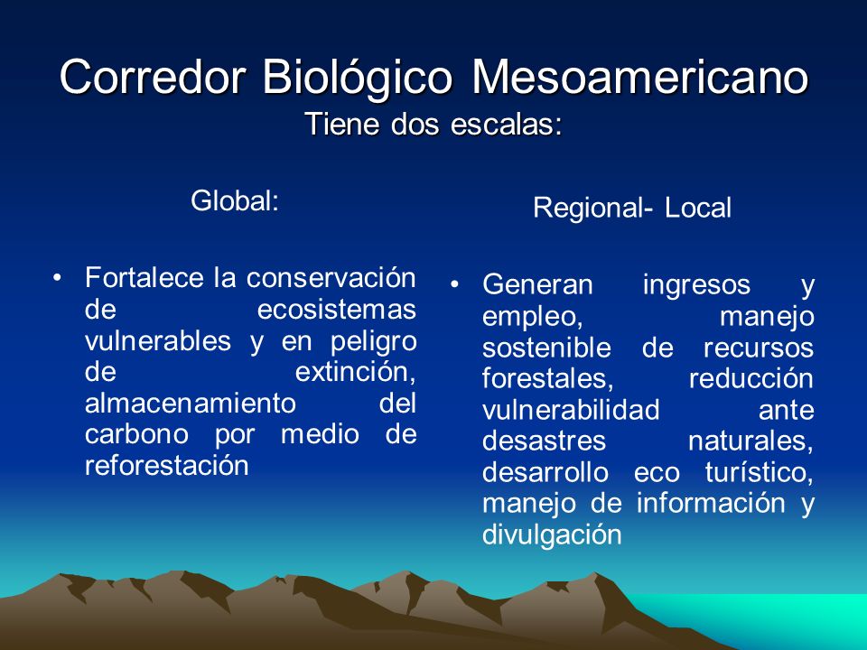 Corredor Biológico Mesoamericano Tiene dos escalas: