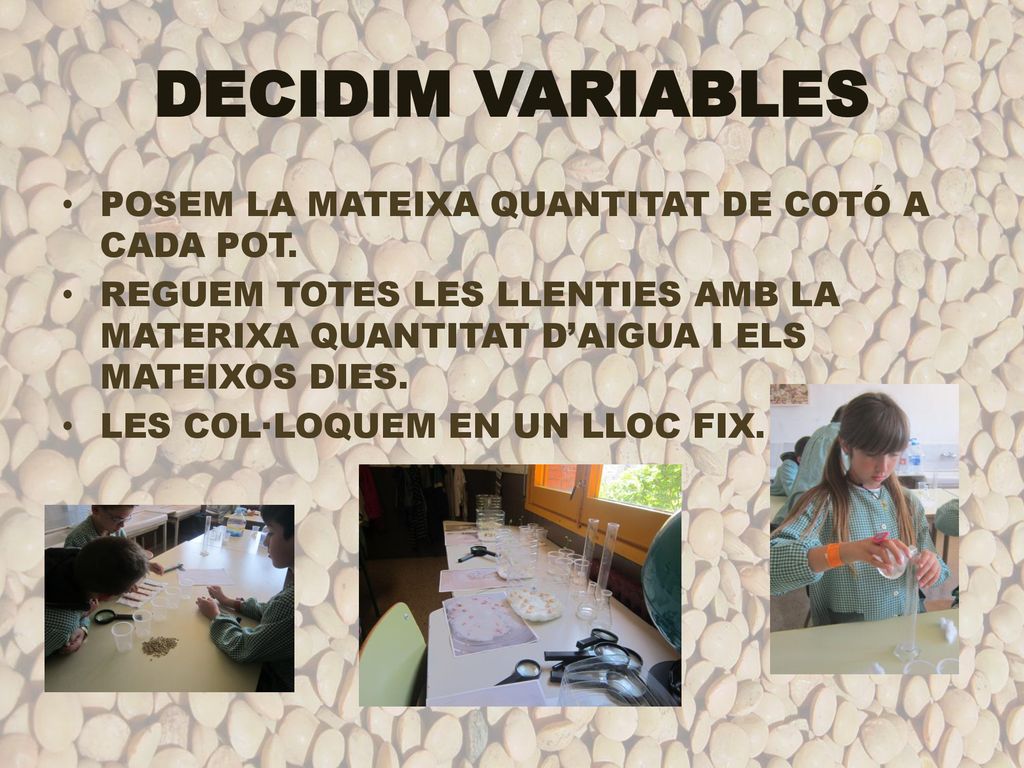 DECIDIM VARIABLES POSEM LA MATEIXA QUANTITAT DE COTÓ A CADA POT.