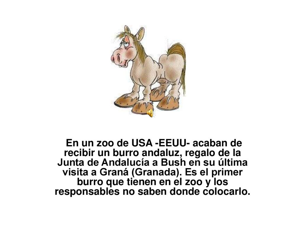 En un zoo de USA -EEUU- acaban de recibir un burro andaluz, regalo de la Junta de Andalucía a Bush en su última visita a Graná (Granada).