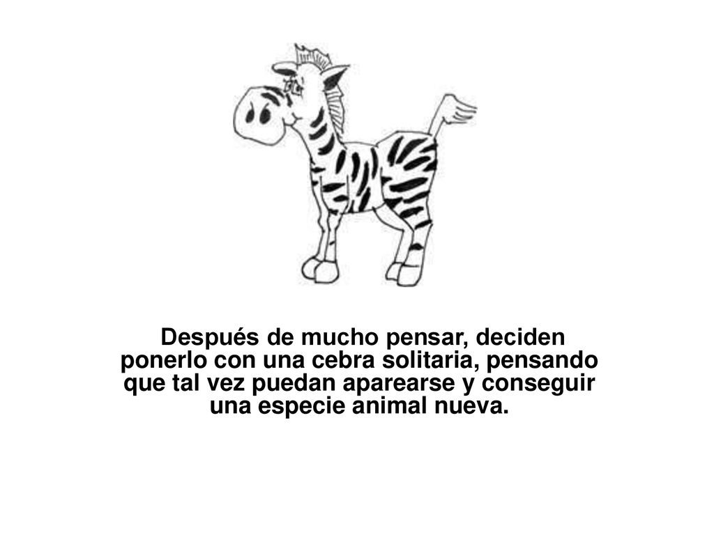 Después de mucho pensar, deciden ponerlo con una cebra solitaria, pensando que tal vez puedan aparearse y conseguir una especie animal nueva.