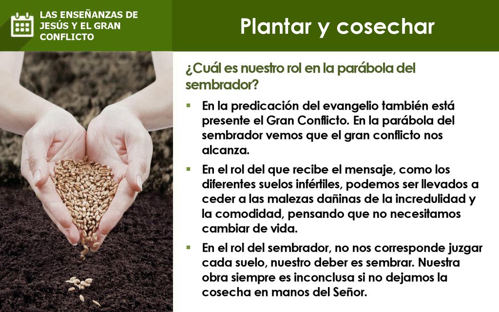 Plantar y cosechar ¿Cuál es nuestro rol en la parábola del sembrador