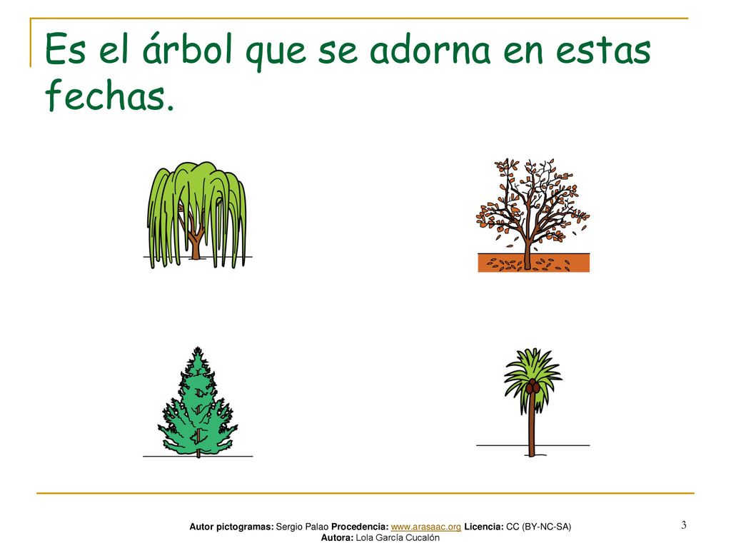 Es el árbol que se adorna en estas fechas.