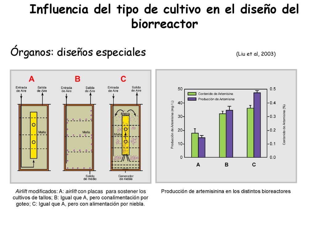 Influencia del tipo de cultivo en el diseño del biorreactor