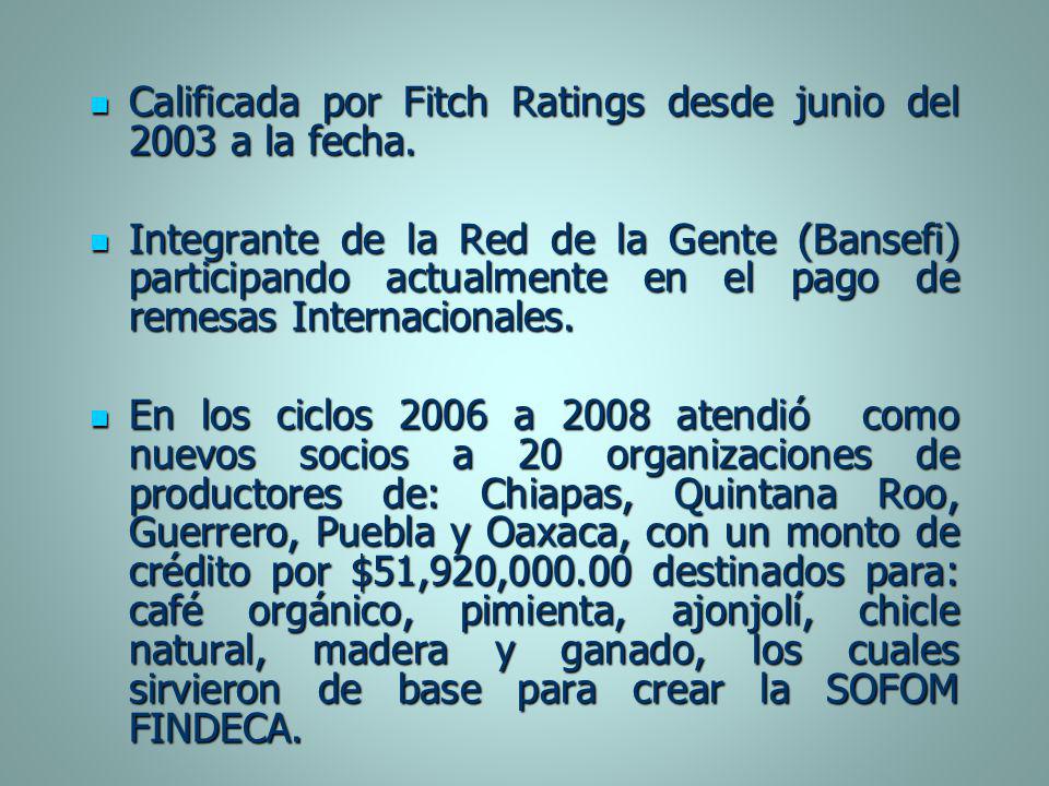 Calificada por Fitch Ratings desde junio del 2003 a la fecha.