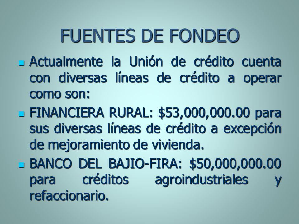 FUENTES DE FONDEO Actualmente la Unión de crédito cuenta con diversas líneas de crédito a operar como son:
