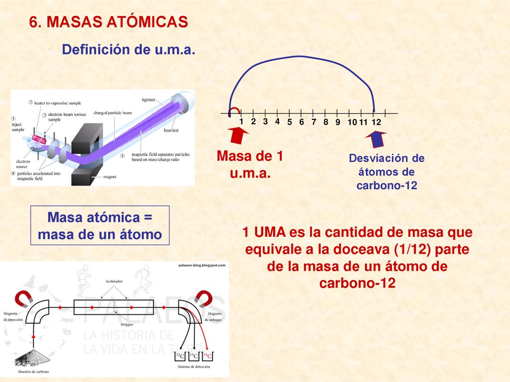 Desviación de átomos de carbono-12 Masa atómica = masa de un átomo