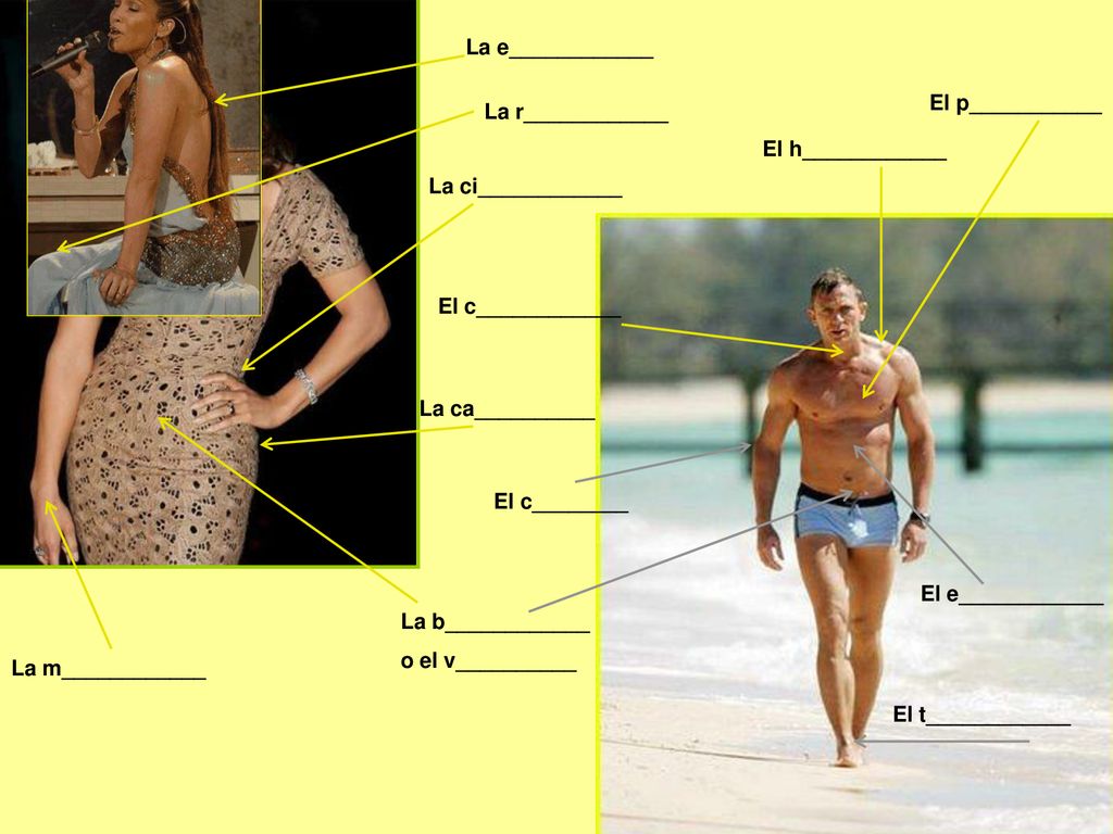 La e____________ El p___________. La r____________. El h____________. La ci____________. El c____________.