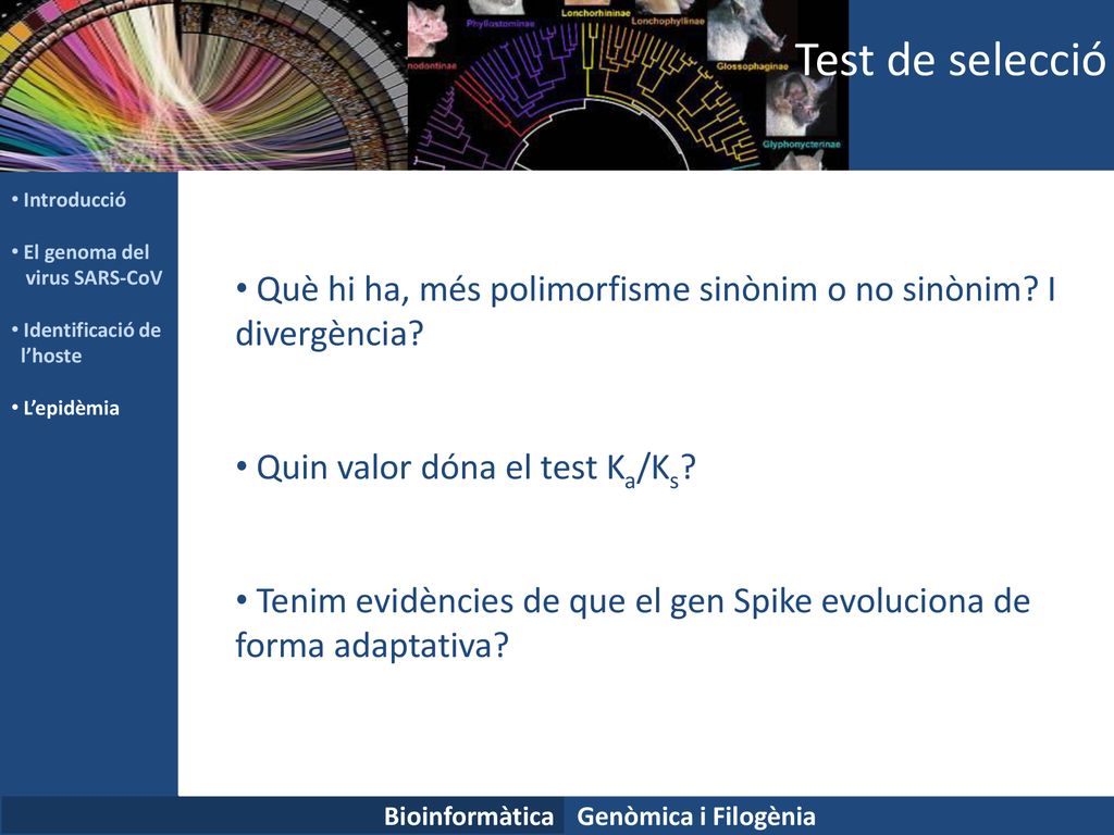 Test de selecció Introducció. El genoma del. virus SARS-CoV. Identificació de. l’hoste. L’epidèmia.
