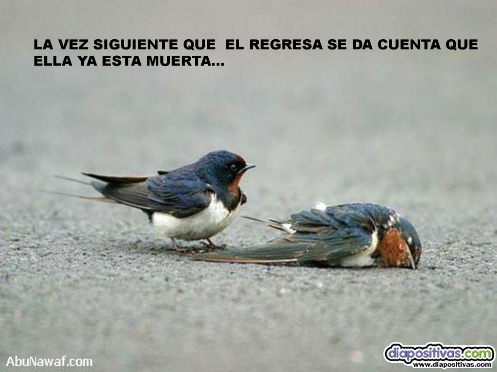 LA VEZ SIGUIENTE QUE EL REGRESA SE DA CUENTA QUE
