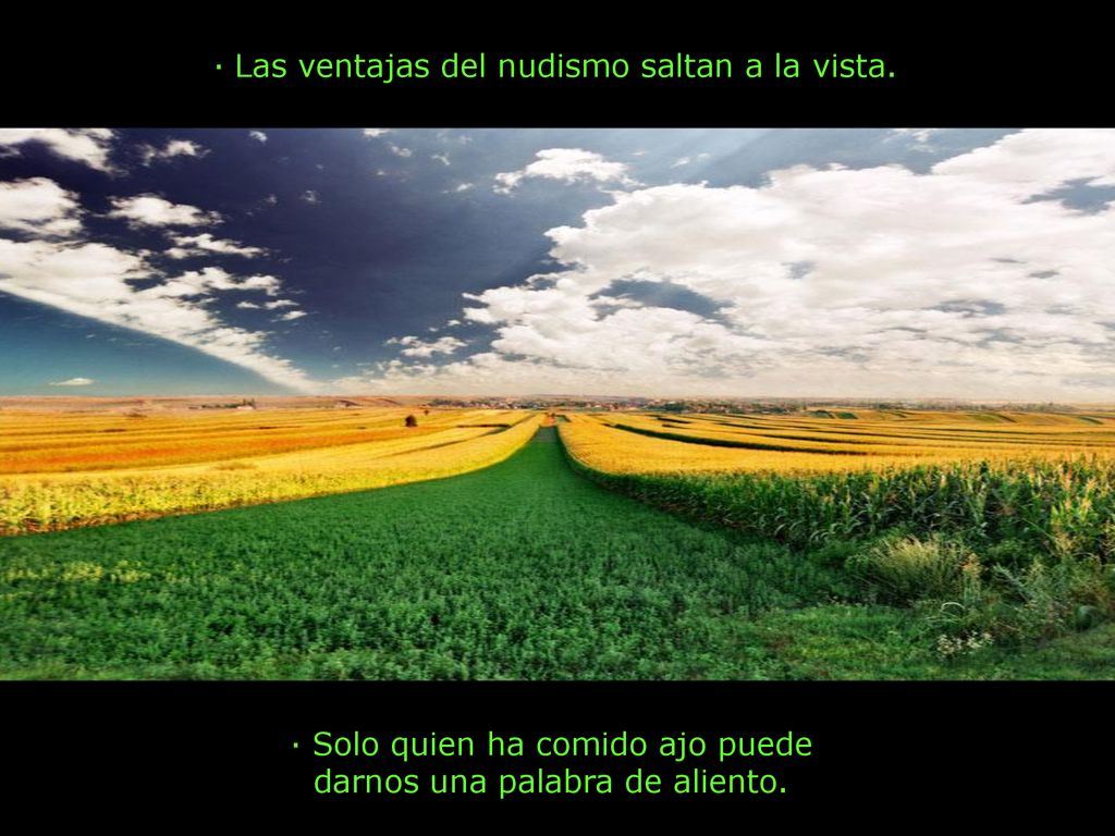 · Solo quien ha comido ajo puede darnos una palabra de aliento.