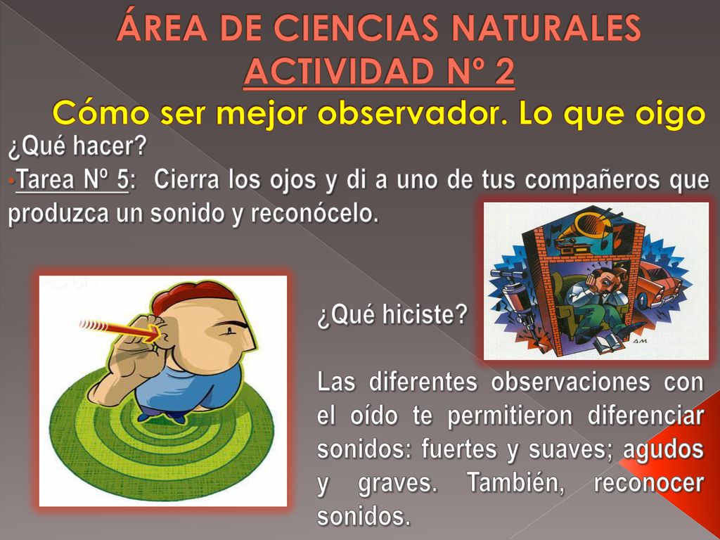 ÁREA DE CIENCIAS NATURALES ACTIVIDAD Nº 2 Cómo ser mejor observador