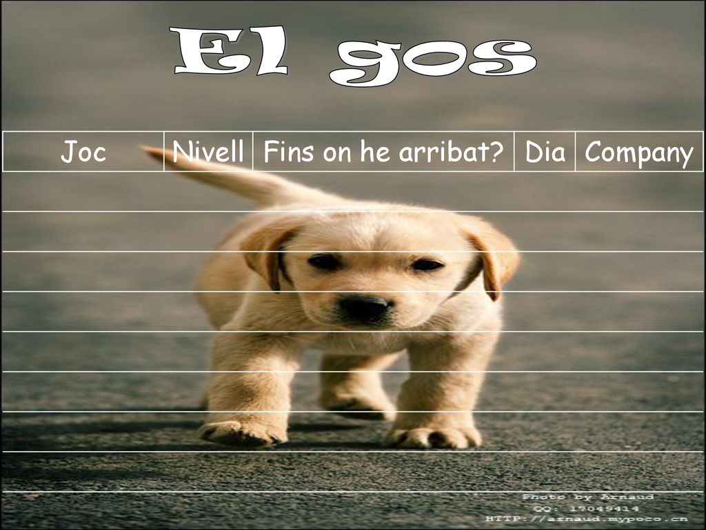 El gos Joc Nivell Fins on he arribat Dia Company