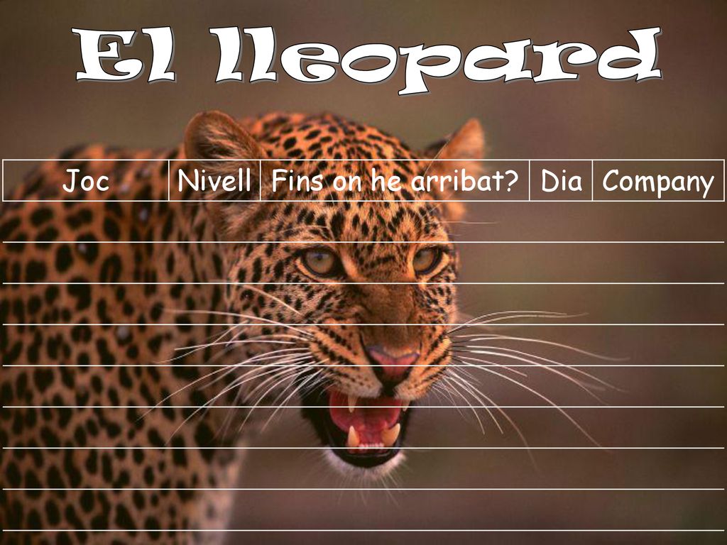 El lleopard Joc Nivell Fins on he arribat Dia Company