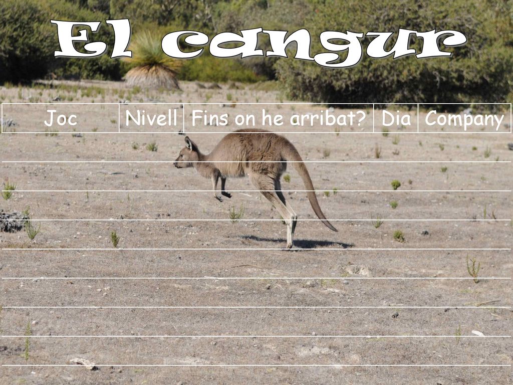 El cangur Joc Nivell Fins on he arribat Dia Company