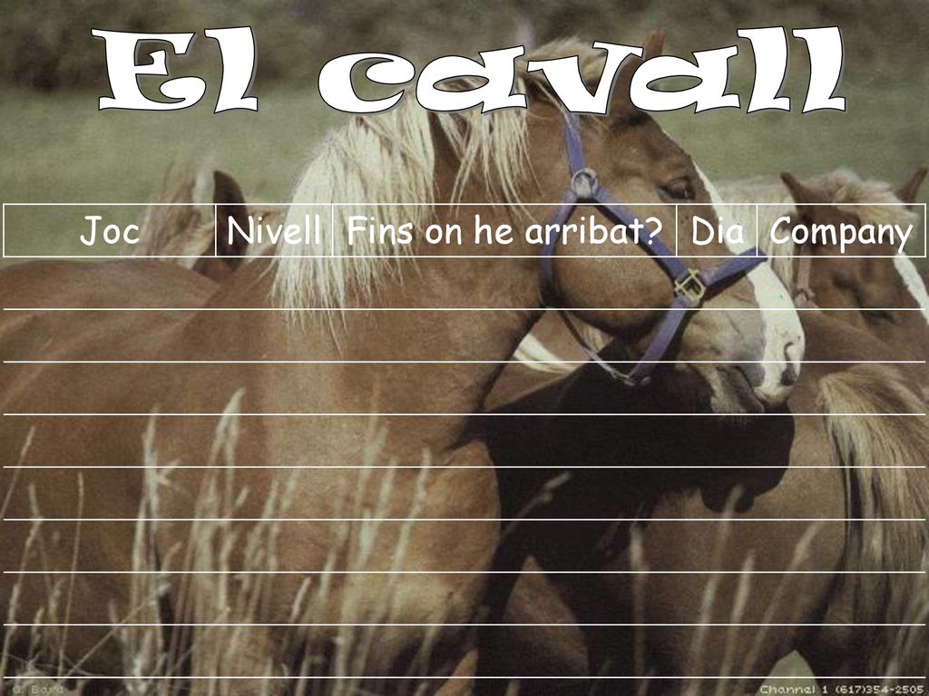 El cavall Joc Nivell Fins on he arribat Dia Company