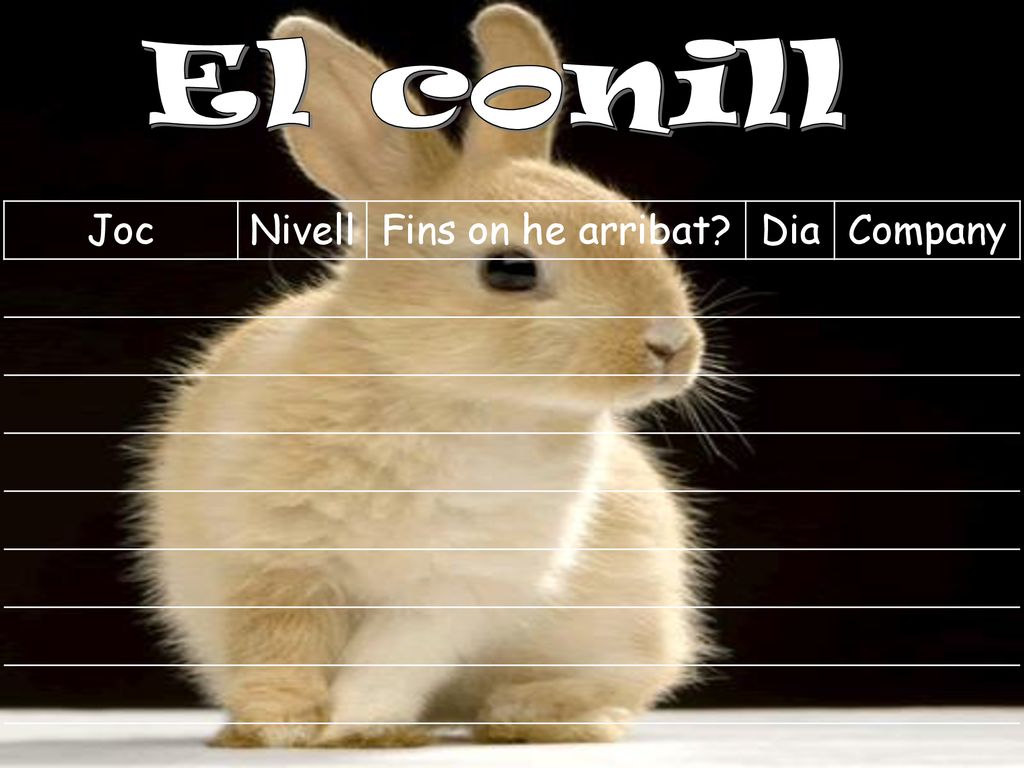 El conill Joc Nivell Fins on he arribat Dia Company