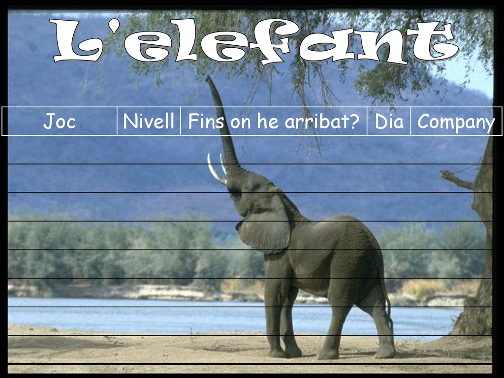 L elefant Joc Nivell Fins on he arribat Dia Company