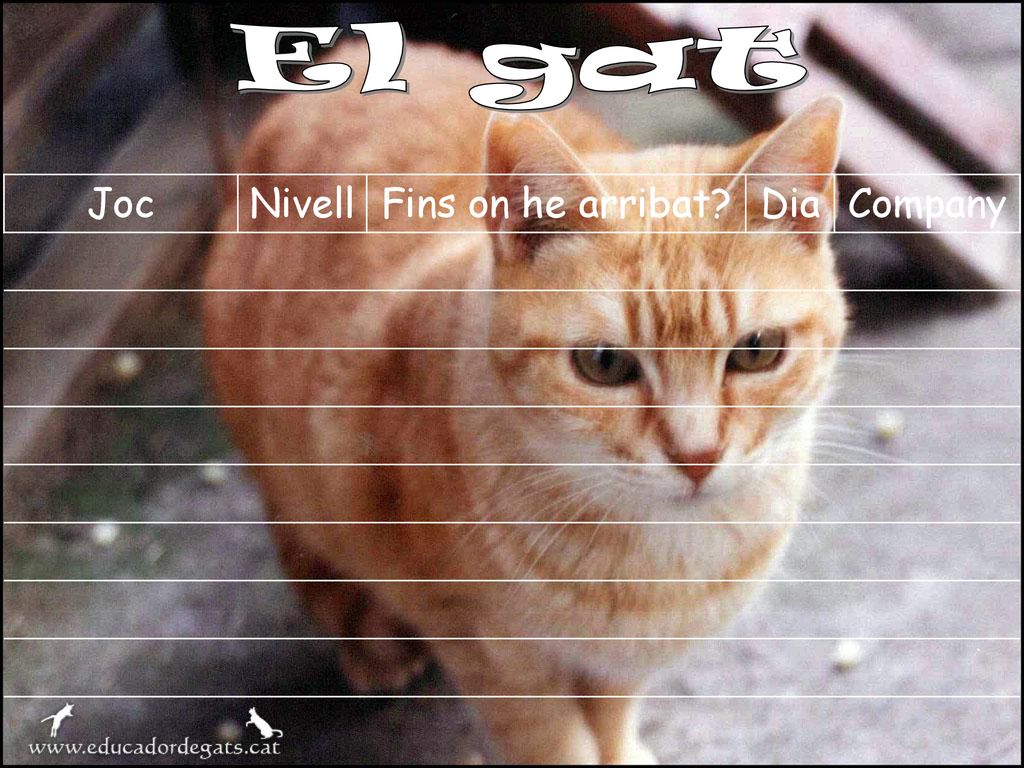El gat Joc Nivell Fins on he arribat Dia Company