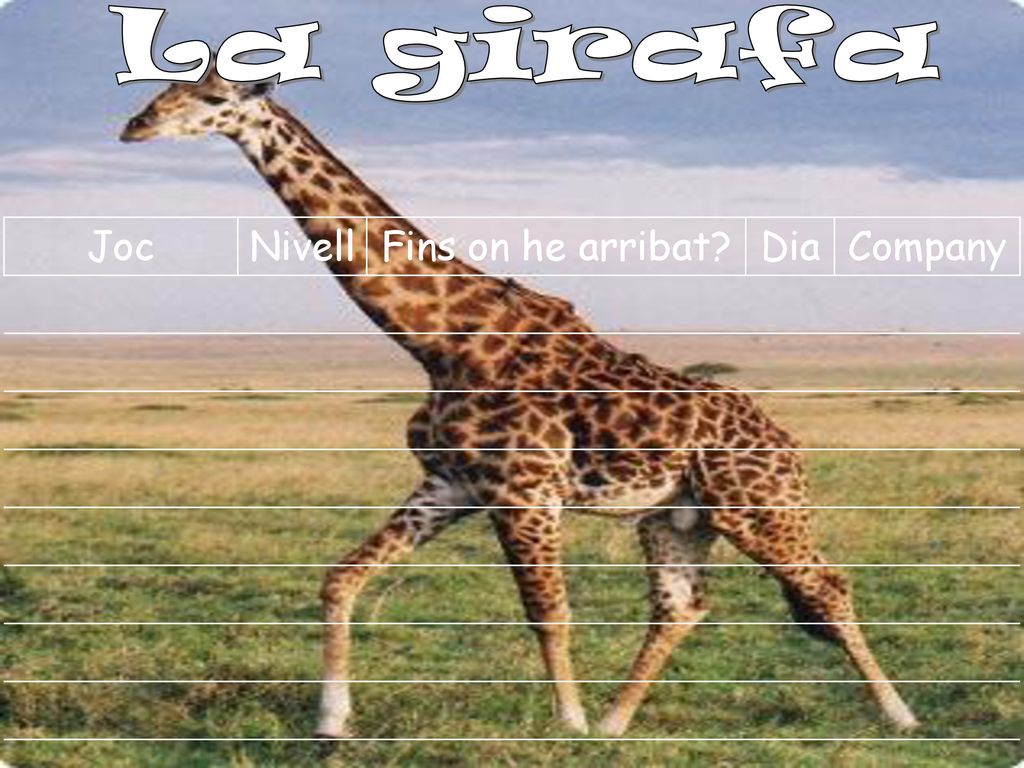La girafa Joc Nivell Fins on he arribat Dia Company