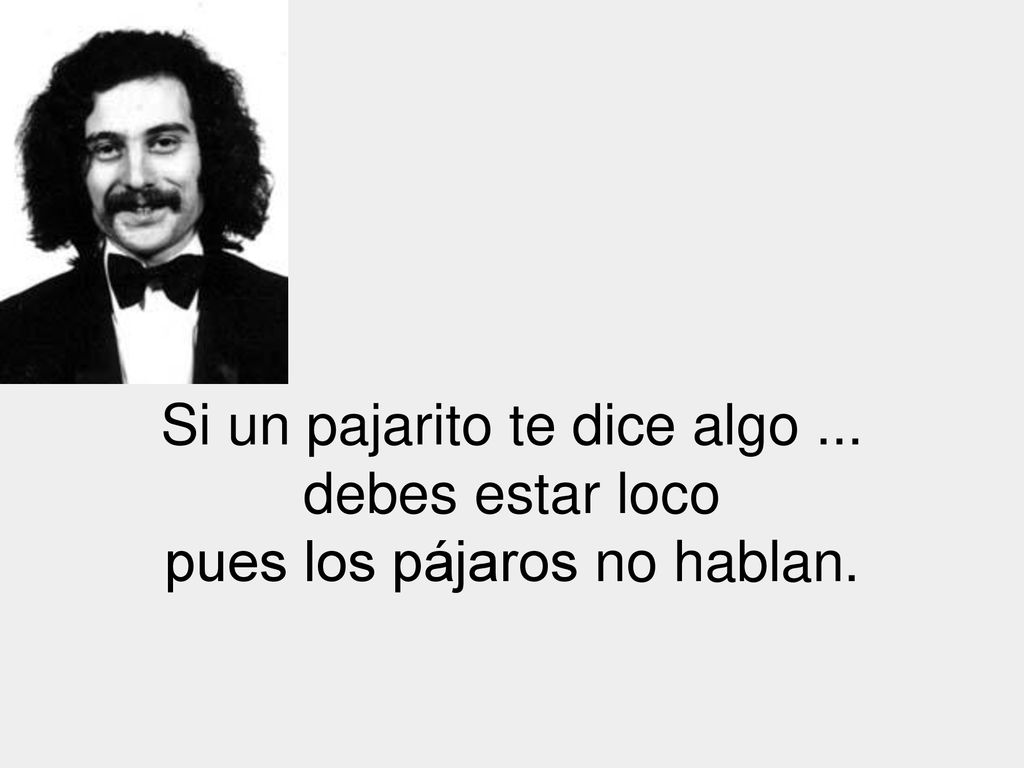 Si un pajarito te dice algo ... debes estar loco