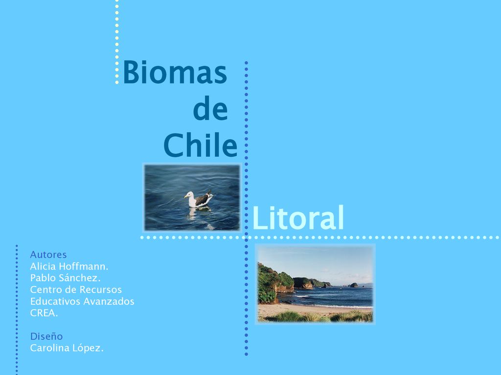 Biomas de Chile Litoral Autores Alicia Hoffmann. Pablo Sánchez.