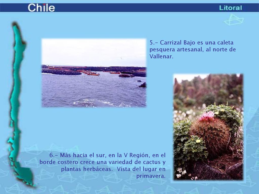 5.- Carrizal Bajo es una caleta pesquera artesanal, al norte de Vallenar.
