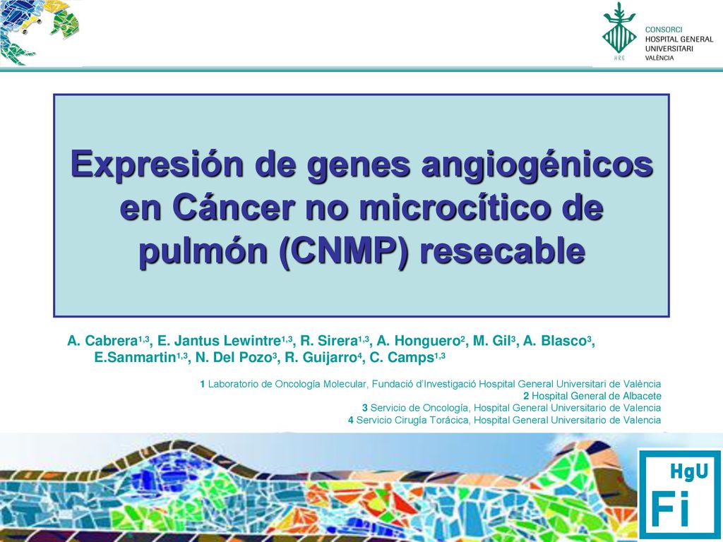 Expresión de genes angiogénicos en Cáncer no microcítico de pulmón (CNMP) resecable