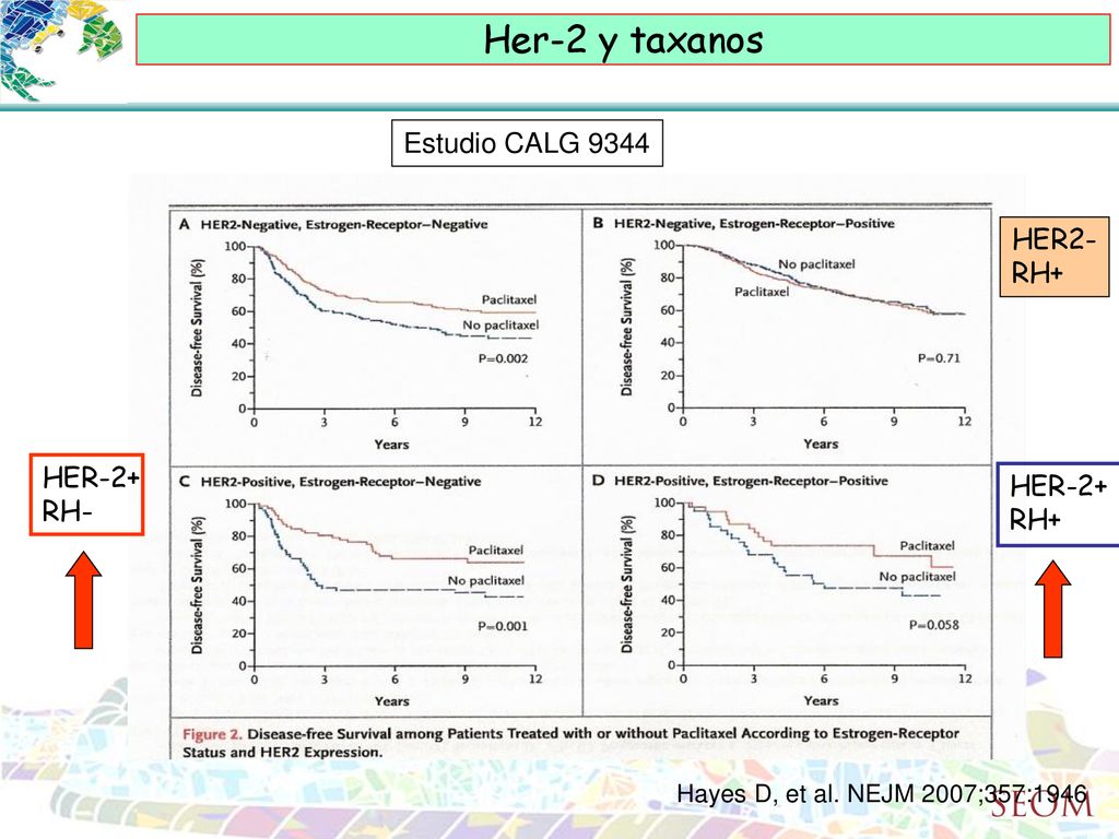 Her-2 y taxanos Estudio CALG 9344 HER2- RH+ HER-2+ HER-2+ RH- RH+