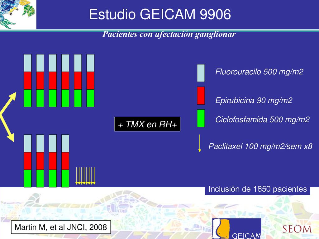Estudio GEICAM 9906 Pacientes con afectación ganglionar + TMX en RH+