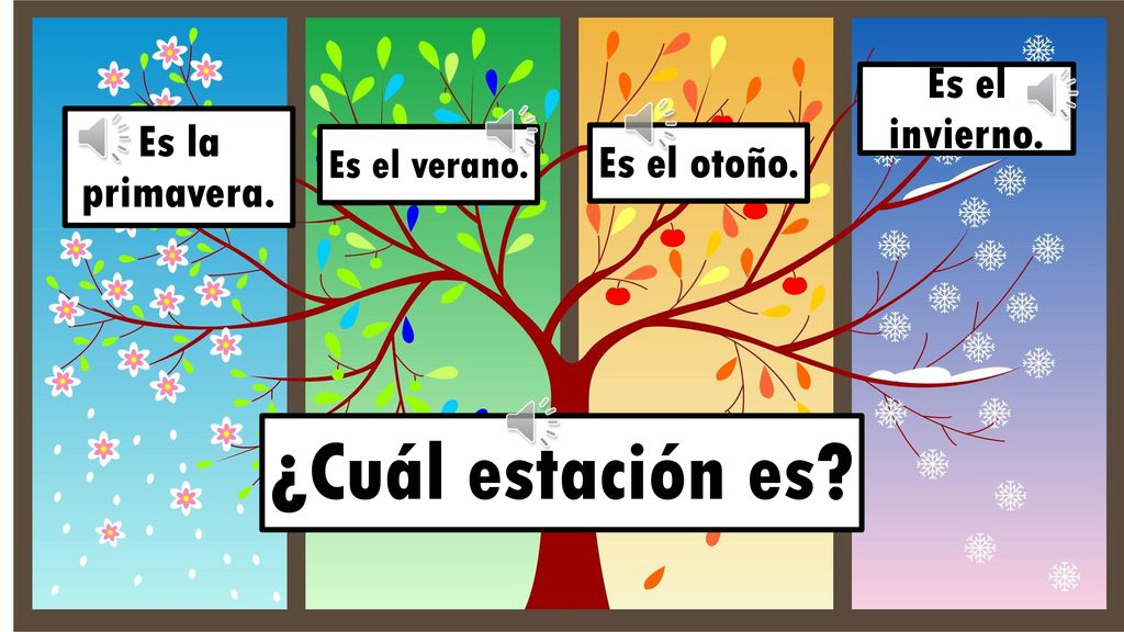 ¿Cuál estación es Es el invierno. Es la primavera. Es el otoño.