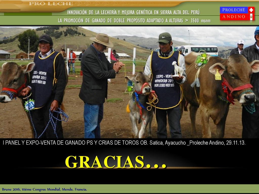 INNOVACIÓN DE LA LECHERÍA Y MEJORA GENÉTICA EN SIERRA ALTA DEL PERÚ