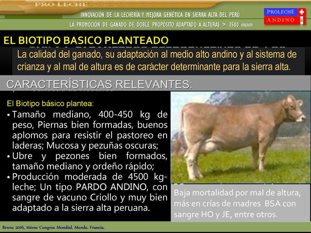 INNOVACIÓN DE LA LECHERÍA Y MEJORA GENÉTICA EN SIERRA ALTA DEL PERÚ