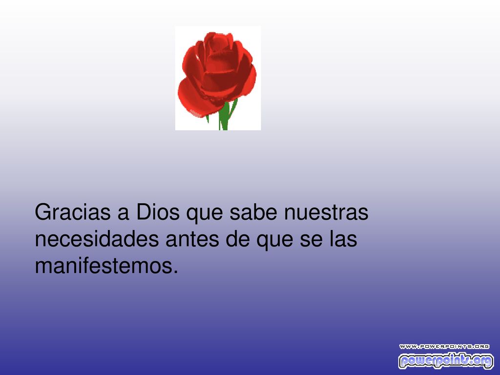 Gracias a Dios que sabe nuestras necesidades antes de que se las manifestemos.