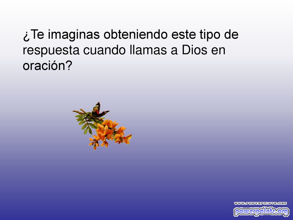 ¿Te imaginas obteniendo este tipo de respuesta cuando llamas a Dios en oración
